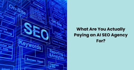 what-you-pay-ai-seo-agency